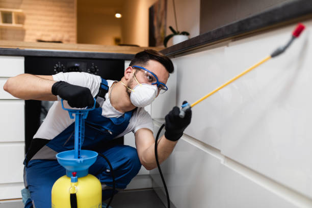 Best Pest Control Near Me in Chesterfield, IN