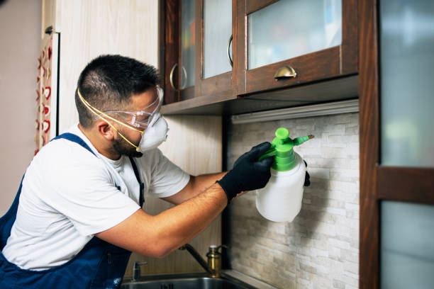 Best Flea Control Services  in Chesterfield, IN