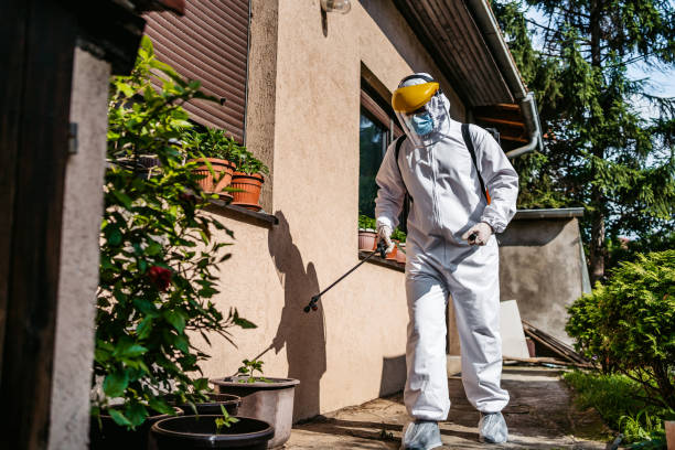 Best Wasp Removal Services  in Chesterfield, IN
