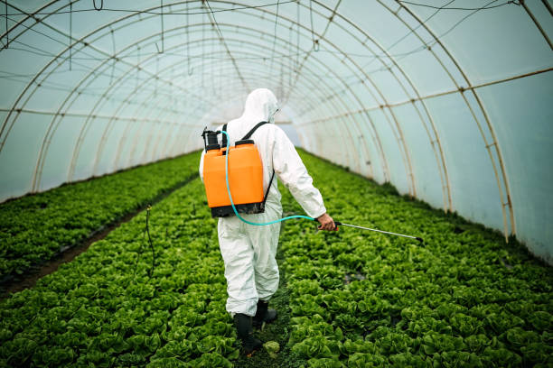 Best Pest Removal Services  in Chesterfield, IN