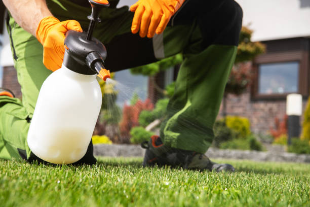 Best Pest Prevention Services  in Chesterfield, IN