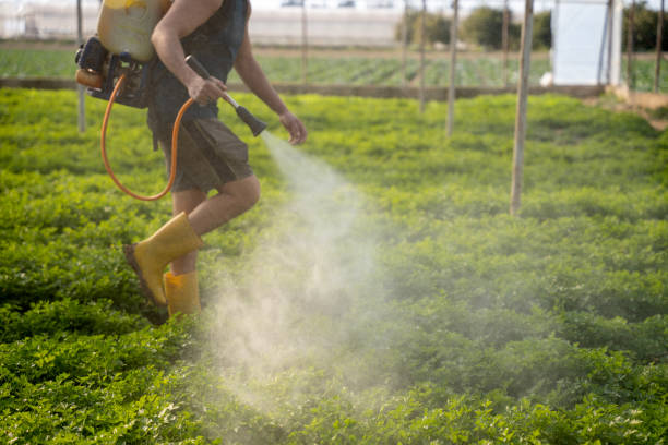 Best Best Pest Control Companies  in Chesterfield, IN