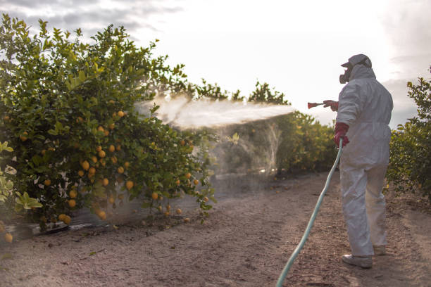 Best Pest Control Treatment  in Chesterfield, IN