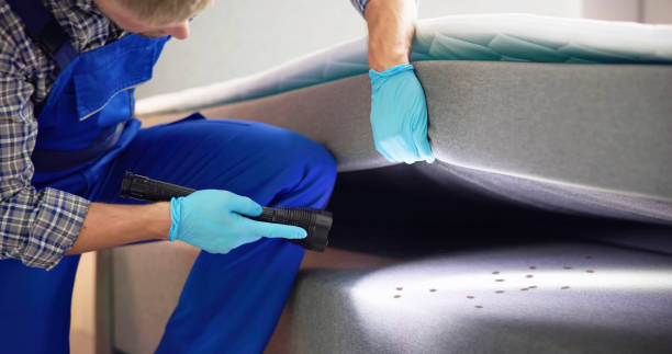Flea Control Services in Chesterfield, IN