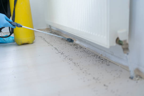 Best Affordable Pest Control Services  in Chesterfield, IN